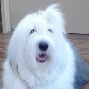 Meet your Posher, Tim